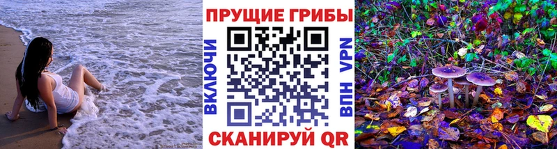 Псилоцибиновые грибы Psilocybe Печора